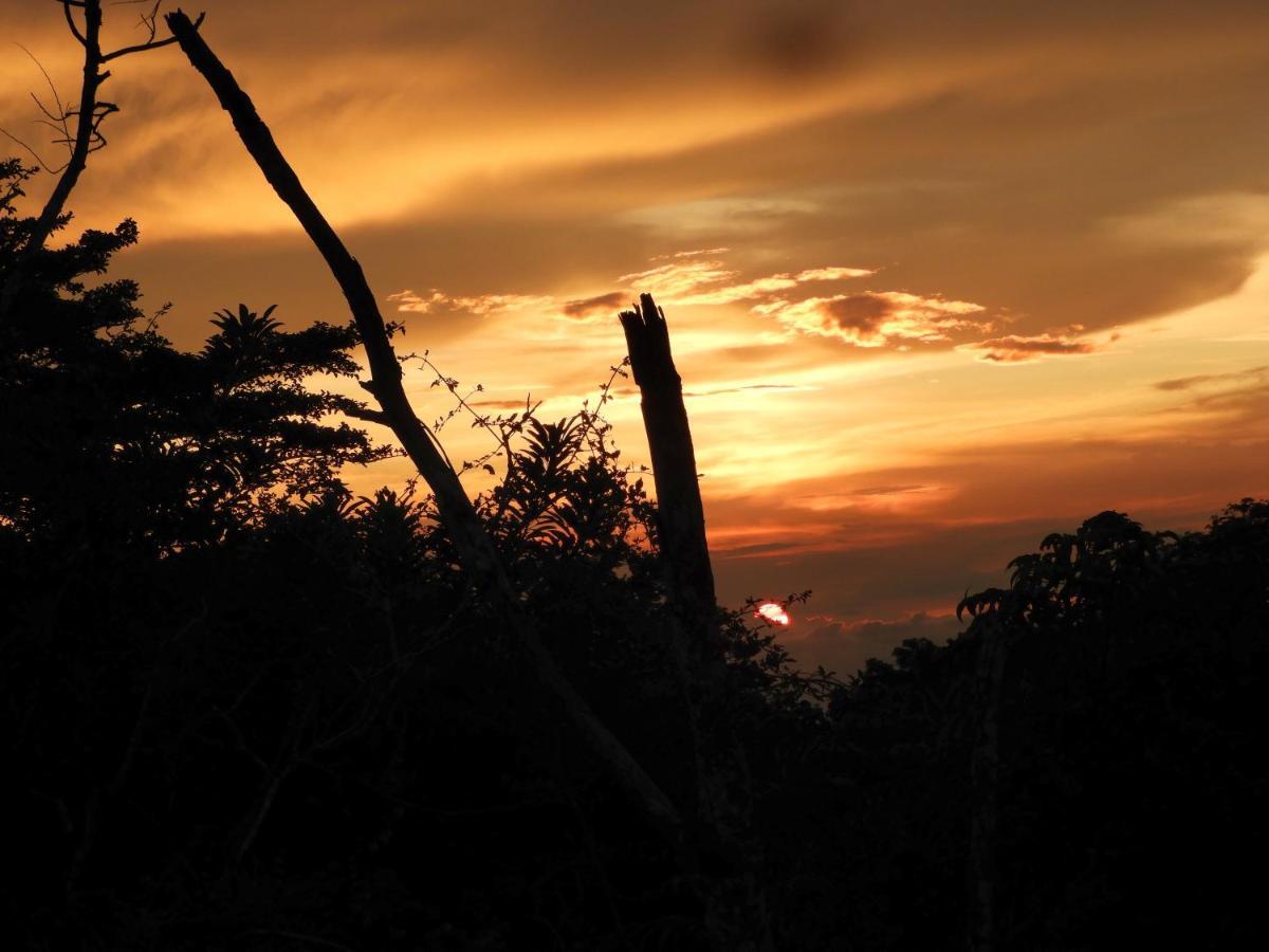 Moon Wonders Vacation House Monteverde 외부 사진